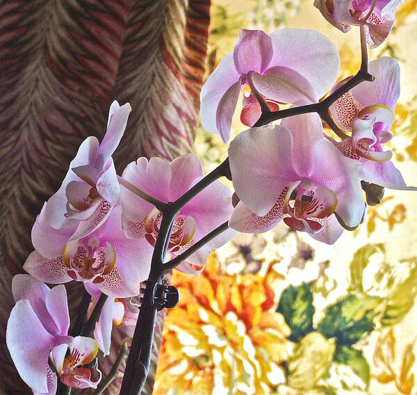 Orchids Art Print featuring the photograph Rose Cottage Orchid by Janis Senungetuk
