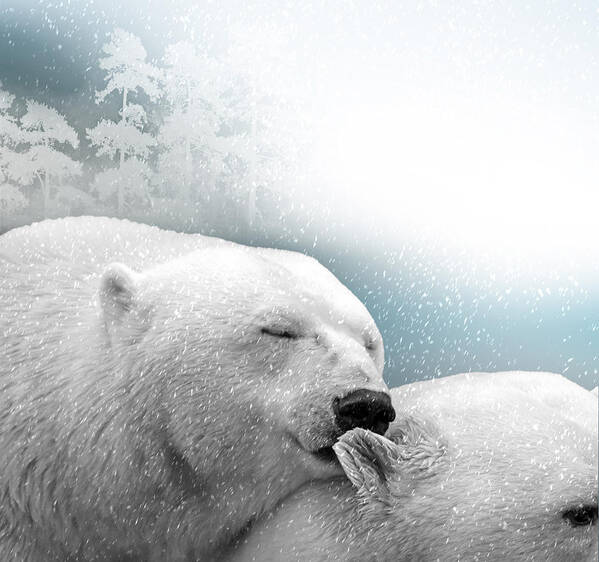 Bear Art Print featuring the photograph Snowstorm Kiss by Ericamaxine Price