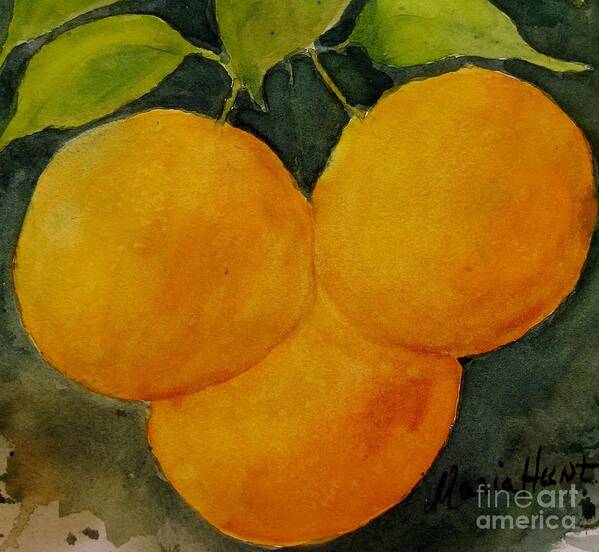 Citrus Art Print featuring the painting Trois Belle Pampelmousse by Maria Hunt
