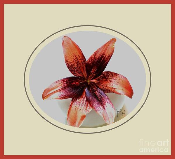 Photo Art Print featuring the photograph Tropical Lily by Marsha Heiken