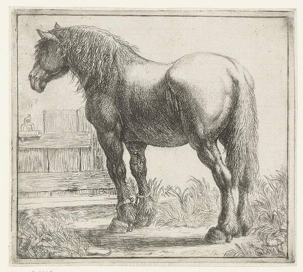 Werkpaard Bij Een Hek Art Print featuring the painting Werkpaard bij een hek, Simon de Vlieger, 1610 - 1653 by Celestial Images