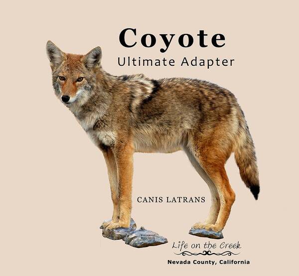 Coyote Art Print featuring the digital art Coyote Ultimate Adaptor by Lisa Redfern