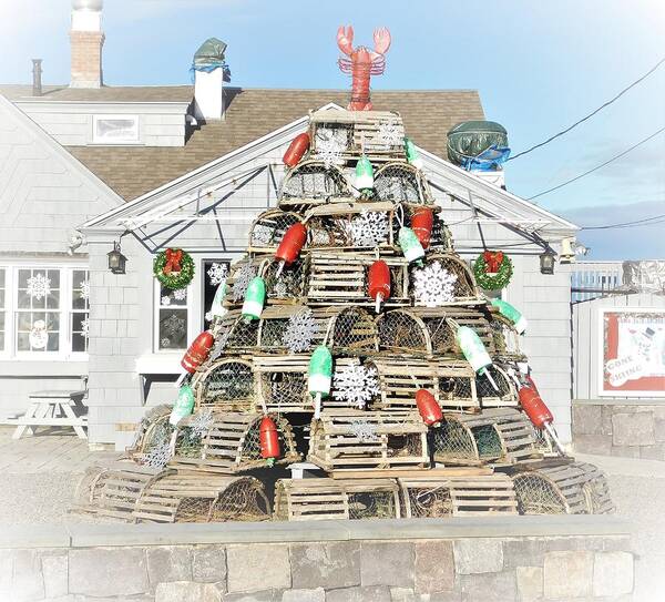 Maine Christmas Tree Art Print featuring the photograph - Maine Christmas Tree, York ME by THERESA Nye