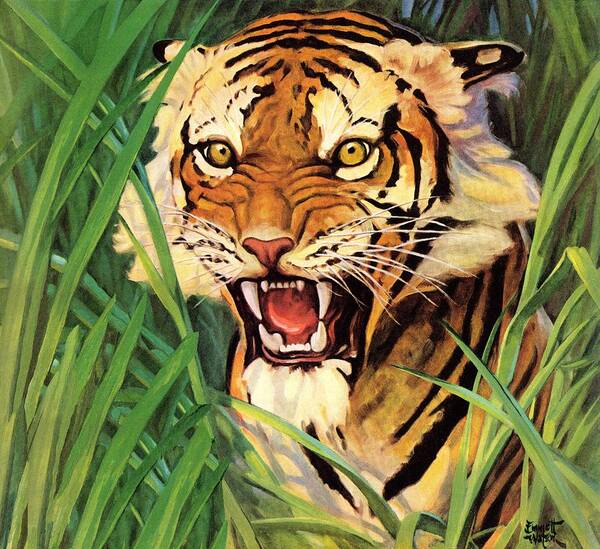 Jungle Art Print featuring the drawing Snarling Tiger by Emmett Watson