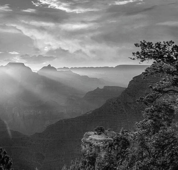 Disk1216 Art Print featuring the photograph Wotans Throne, Grand Canyon by Tim Fitzharris