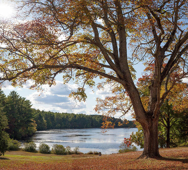 Arcadia Art Print featuring the photograph Arcadia in the Fall by Kirkodd Photography Of New England