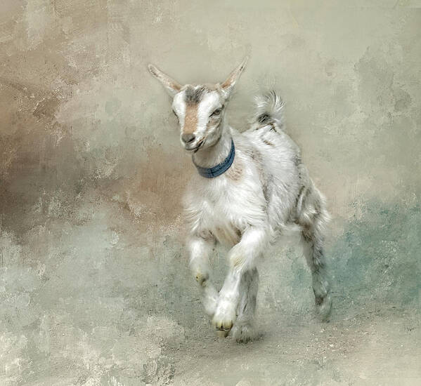 Goat Art Print featuring the digital art Baby Goat by Jeanette Mahoney