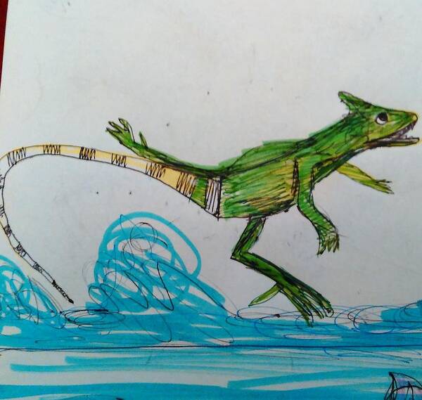 Lizards Art Print featuring the drawing Basilisk Lizard by Andrew Blitman