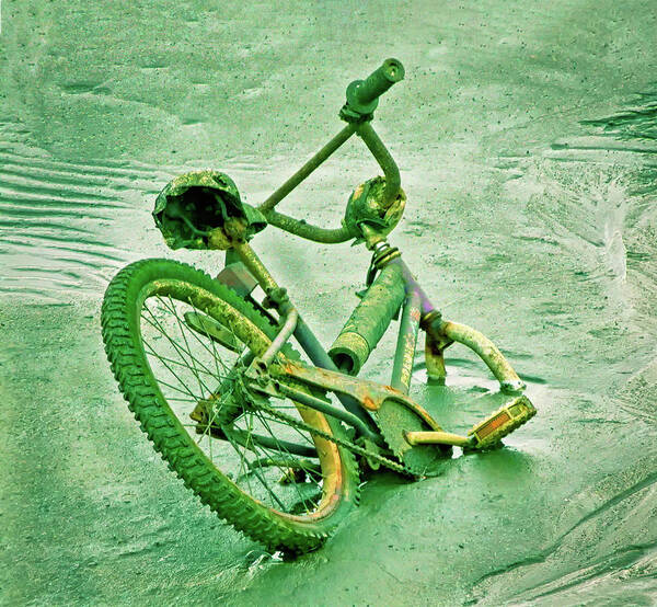 Bicycle Art Print featuring the photograph Bicycle Stuck In Mud by Gary Slawsky