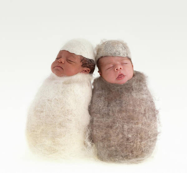 Cocoon Art Print featuring the photograph Brodie and Miles as Cocoons by Anne Geddes