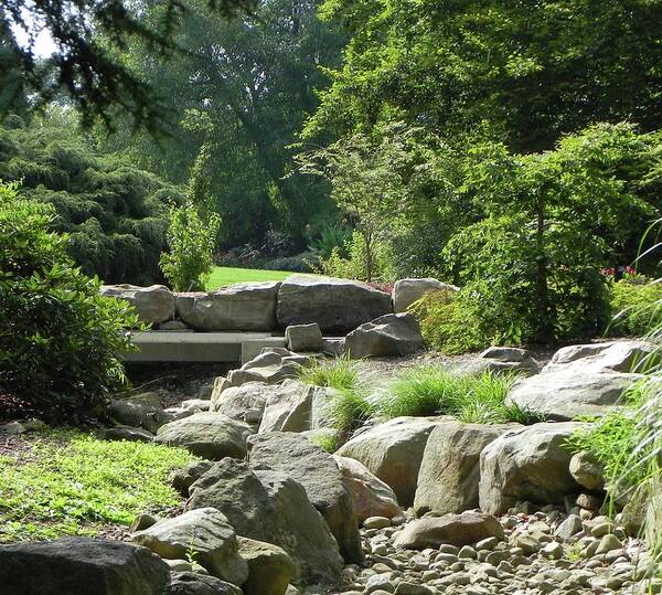  Art Print featuring the photograph Rock Garden by John Parry