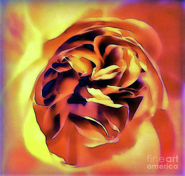 Digital Art Art Print featuring the digital art Sunset Rose by Tracey Lee Cassin