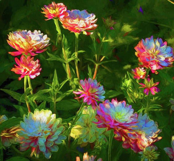 Painterly Art Print featuring the photograph Zinnias in Afternoon Light by John Roach