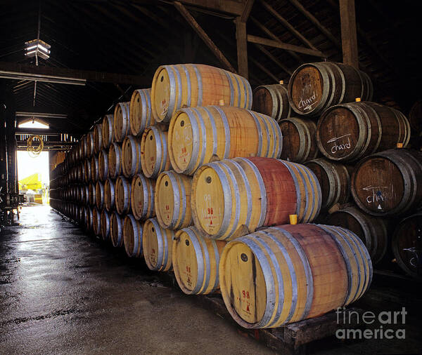 Craig Lovell Art Print featuring the photograph Oak Barrels at Ventana Vineyards #1 by Craig Lovell