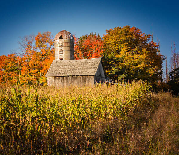 Barn Art Print featuring the photograph Wildwood Farm in Fall by Terry Ann Morris