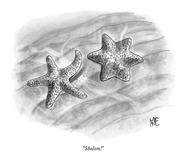 Starfish Talking Religion Yiddish Jewish

(starfish Waving To A Six Pointed Star Of David Fish.) 120756 Jkn John Kane Art Print featuring the drawing Shalom! by John Kane