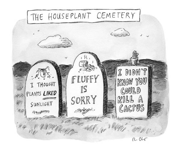 Title: The Houseplant Cemetery Plants Art Print featuring the drawing New Yorker December 19th, 2016 by Roz Chast
