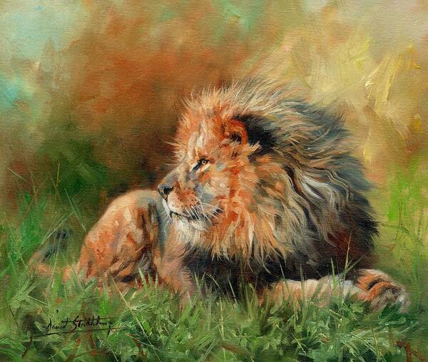 Lion Art Print featuring the painting Lion #6 by David Stribbling