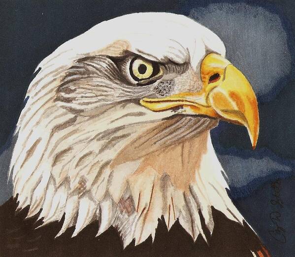 Bald Eagle Art Print featuring the drawing Bald Eagle by Cory Still