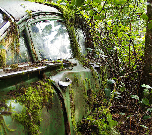 Abandoned Art Print featuring the photograph Biscayne by Marilyn Wilson