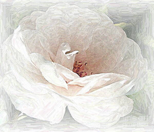 Floral Art Print featuring the photograph Blush by Maureen J Haldeman