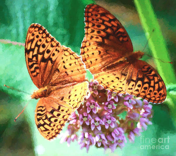 Great Spangled Fritillary Butterfly Art Print featuring the photograph Butterfly Twins by Kerri Farley