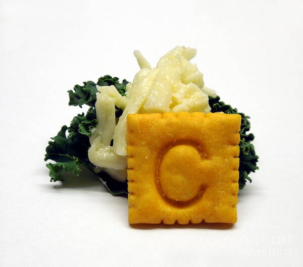 Cheese Art Print featuring the photograph C . Cheese n Cracker by Renee Trenholm