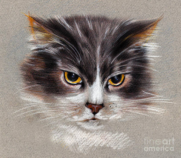 Cat Portrait Art Print featuring the drawing Cat Portrait Yellow Eyes by Daliana Pacuraru