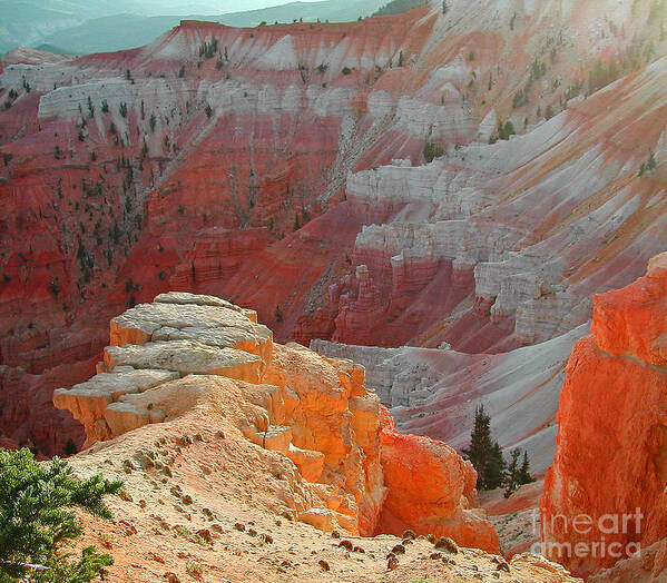 Southwest Art Print featuring the photograph Cedar Breaks Utah by Nick Boren