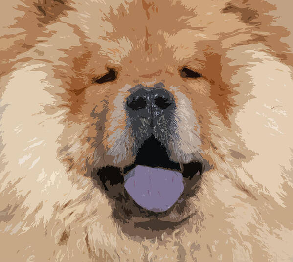 Chow Chow Art Print featuring the photograph Chow Chow by Nancy Merkle