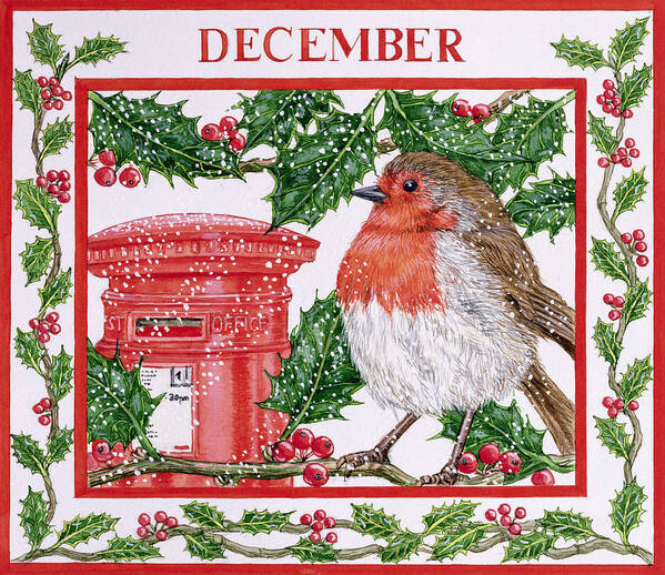 Robin Art Print featuring the photograph December Wc On Paper by Catherine Bradbury