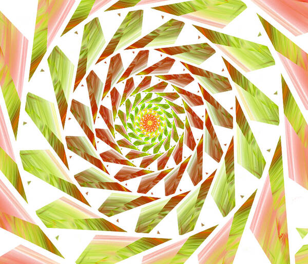Spiral Digital Art Art Print featuring the digital art Abstract Swirls by Ester McGuire