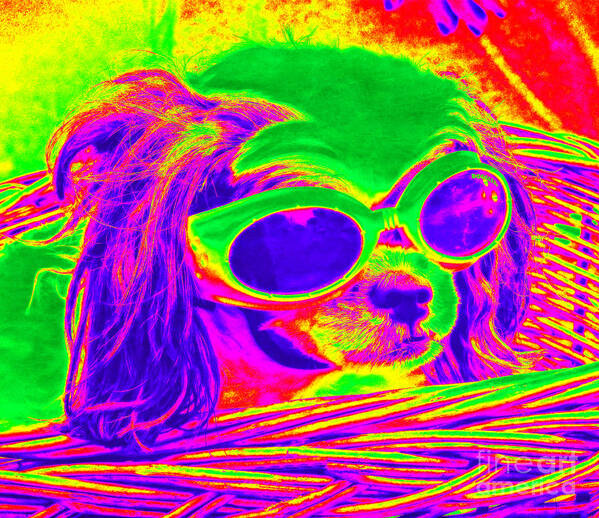 Pop Art Art Print featuring the photograph Front Seat Driver Pop Art - Puppy Mania by Ella Kaye Dickey