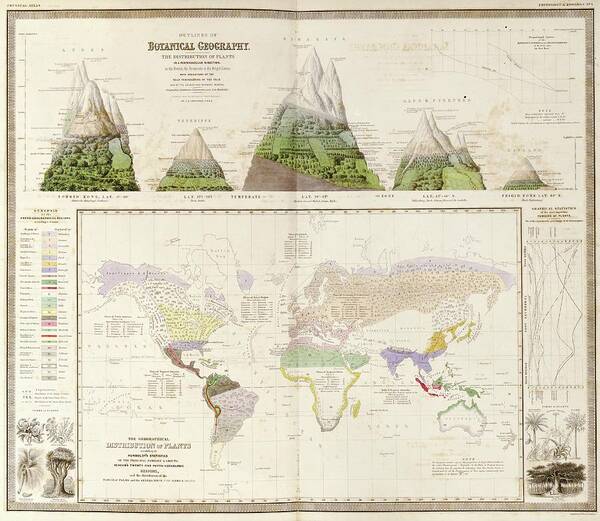 Botanical Geography Art Print featuring the photograph Global Botanical Geography by Library Of Congress, Geography And Map Division