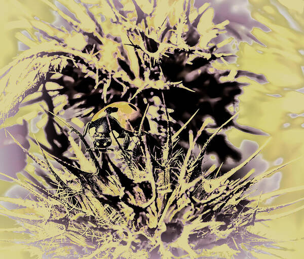 Spot Art Print featuring the photograph imprisoned Ladybug sitting behind thorns of a yellowing plant 2 by Leif Sohlman