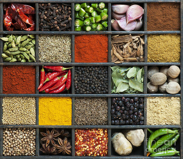 Indian Art Print featuring the photograph Indian Spice Grid by Tim Gainey