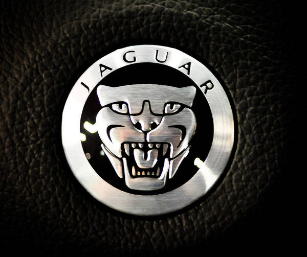 Black Car Art Print featuring the photograph Jaguar Logo by Ronda Broatch