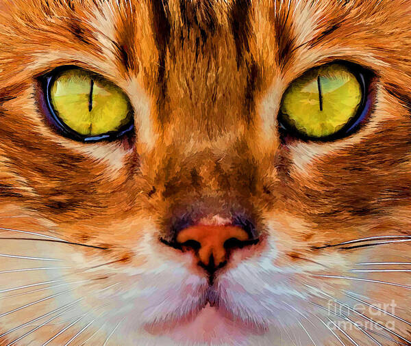 Cat Art Print featuring the photograph Look Into My Eyes by Barbara McMahon