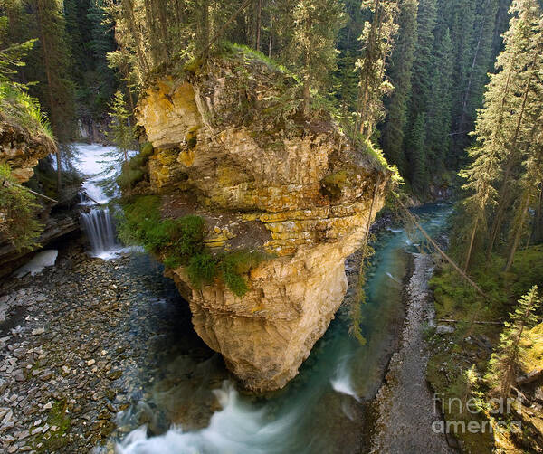 Creek Art Print featuring the photograph Morning in Johnston Canyon by Matt Tilghman