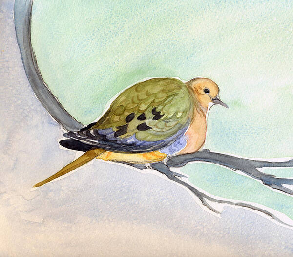 Mourning Dove Art Print featuring the painting Mourning Dove by Katherine Miller