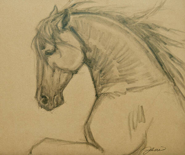 Horses Art Print featuring the drawing Rearing Stallion by Jani Freimann