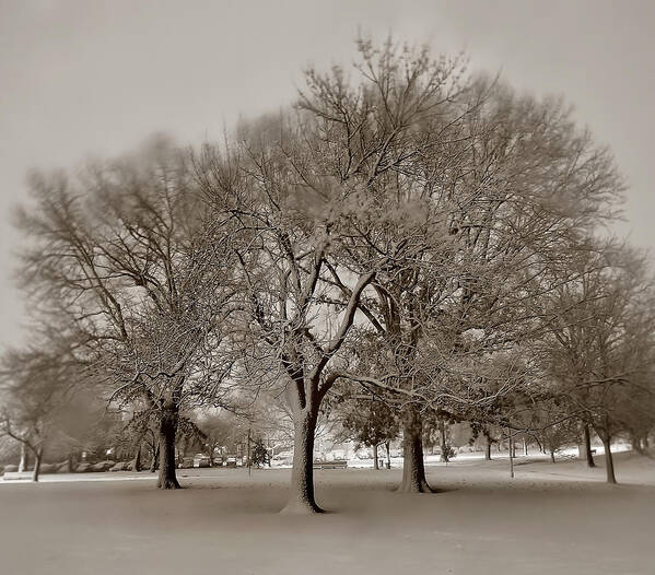 Snow Art Print featuring the photograph Riverside Cast in January Snow by SCB Captures