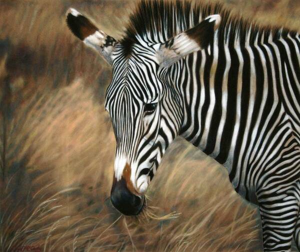 Children's Rooms Art Print featuring the painting Serengeti Zebra by Carol McCarty