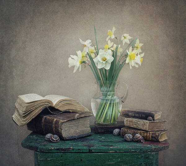 Daffodil Art Print featuring the photograph Still Life With Daffodils, Old Books And Snails by Dimitar Lazarov -