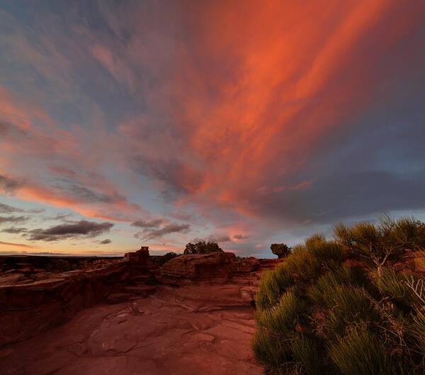 Tranquility Art Print featuring the photograph Sunset Clouds At Dead Horse Point by © Jan Zwilling