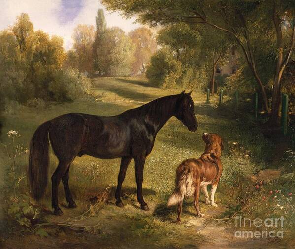 Black Horse Art Print featuring the painting The two friends by Adam Benno