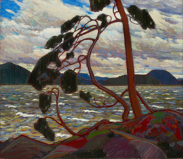 Tom Thomson Art Print featuring the painting The West Wind by Tom Thomson