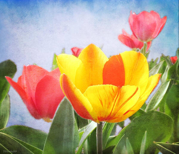 Tulip Art Print featuring the photograph Tulip Joy by Deborah Smith