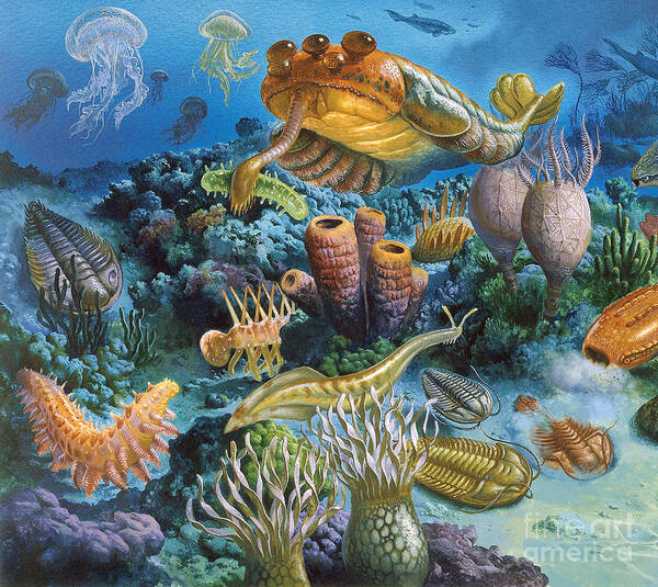 Illustration Art Print featuring the photograph Underwater Paleozoic Landscape by Publiphoto