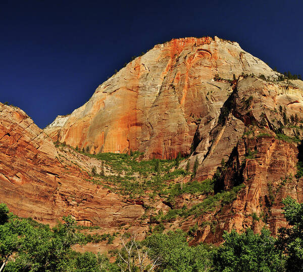 Scenics Art Print featuring the photograph View Near Weeping Rock In Zion National by Utah-based Photographer Ryan Houston